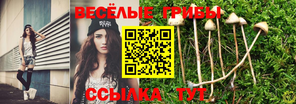 Галлюциногенные грибы мухоморы  Вход с VPN  Бузулук 